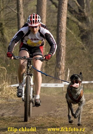 Polsko 2005 - 508.jpg